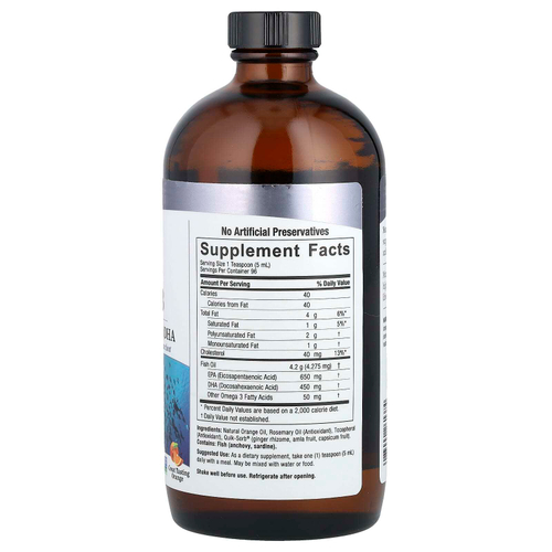 Nature's Answer, омега-3 в жидкой форме, жир глубоководных рыб с ЭПК и ДГК, со вкусом апельсина, 480 мл (16 жидк. унций)