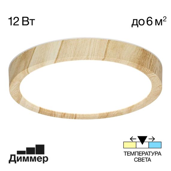 Светильник накладной Citilux Бейсик CL738122N