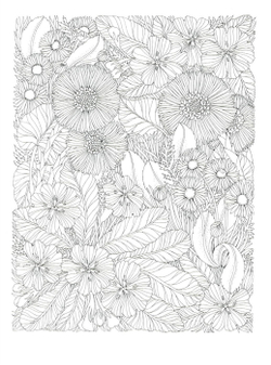 The flower year. Coloring Book (Korea)