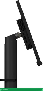 Монитор Lenovo ThinkVision T24m-29 63A5GAT6EU