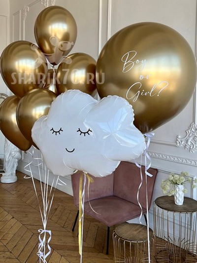 Гендер пати 005