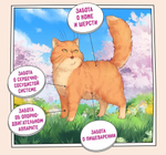 Корм для кошек сухой ZILLII Cat Adult Indoor 2кг, для домашних животных, с индейкой и ягнёнком