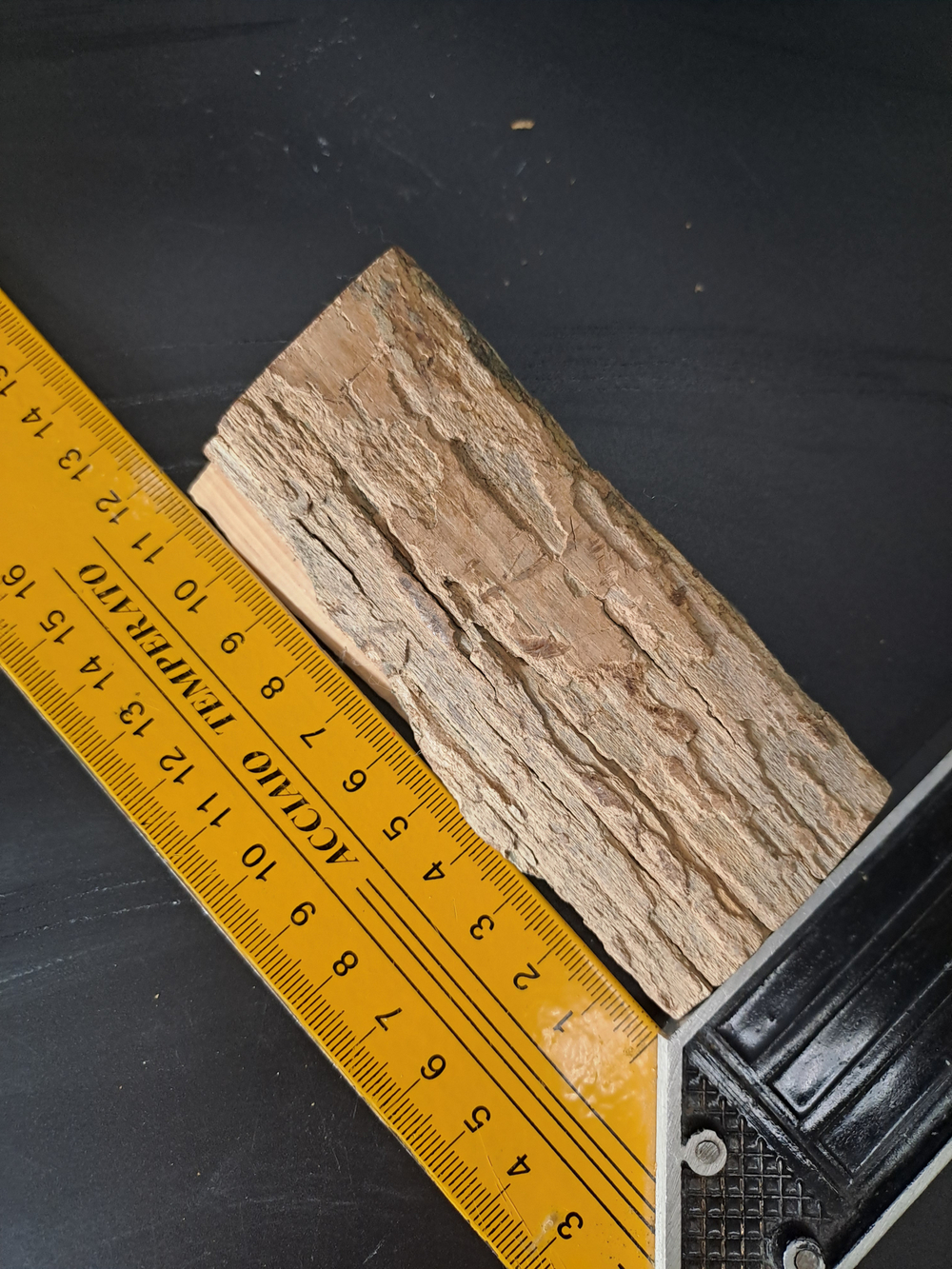 Бивень мамонта для коллекции и поделок