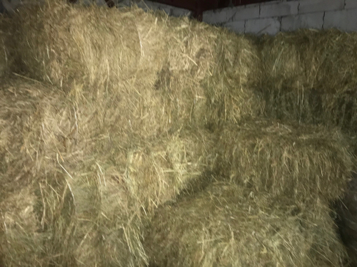 Сено луговое кипа 17 кг