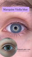Голубые натуральные цветные линзы Marquise Violla blue / Для светлых и темных глаз /12 месяцев