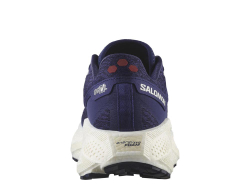 Кроссовки для бега мужские Salomon Aero Glide 3 GRVL M Фиолетовые