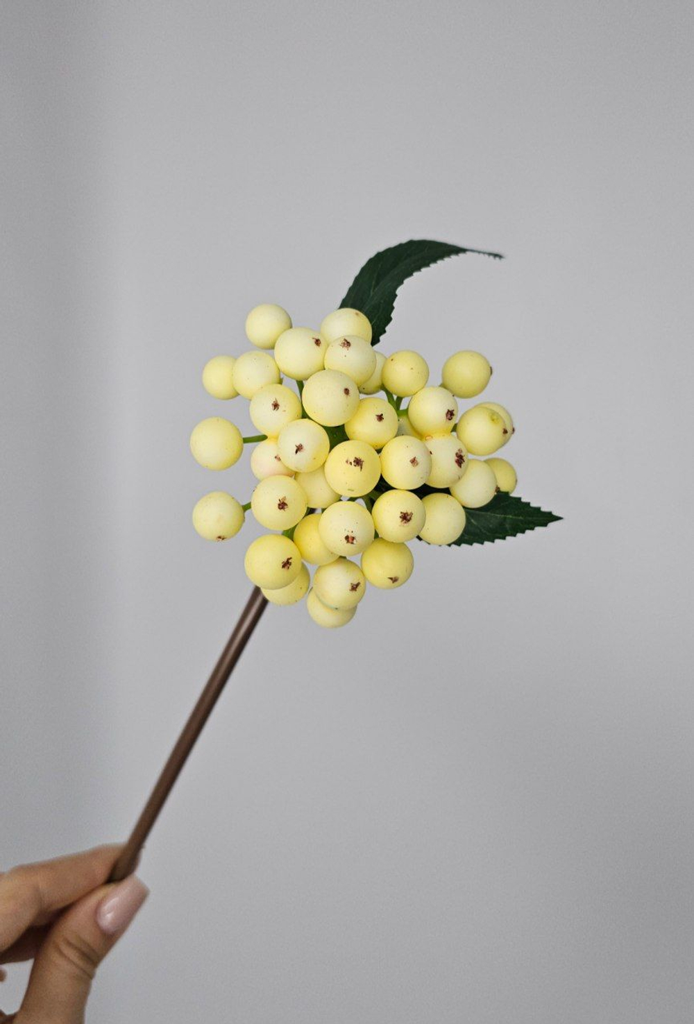 Ягоды / Арт 8046