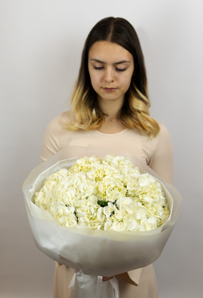 Букет из 9 белых колумбийских гортензий. (№431)