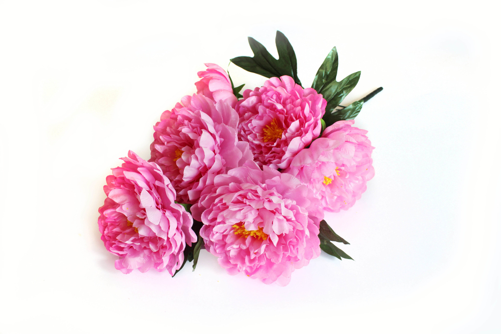 Букет пионов 7 голов