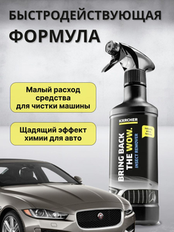 Средство для очистки машины Karcher от следов насекомых