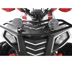Квадроцикл RAPTOR MADMAN 200