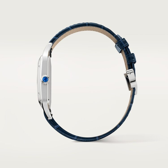 Часы Cartier Santos-Dumont large model