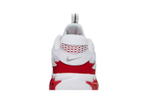 Кроссовки Nike Zoom Air Fire (Женская размерная сетка)