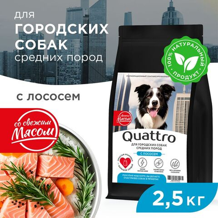 Корм сухой для взрослых собак средних пород, премиум полнорационный комплекс, для городских собак, с лососем, 2,5 кг, QUATTRO