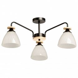 Люстра на штанге De City Дэла 15 635018003