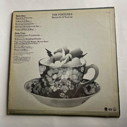 Винтажная виниловая пластинка LP The Fortunes Storm In A Teacup (Канада 1972)