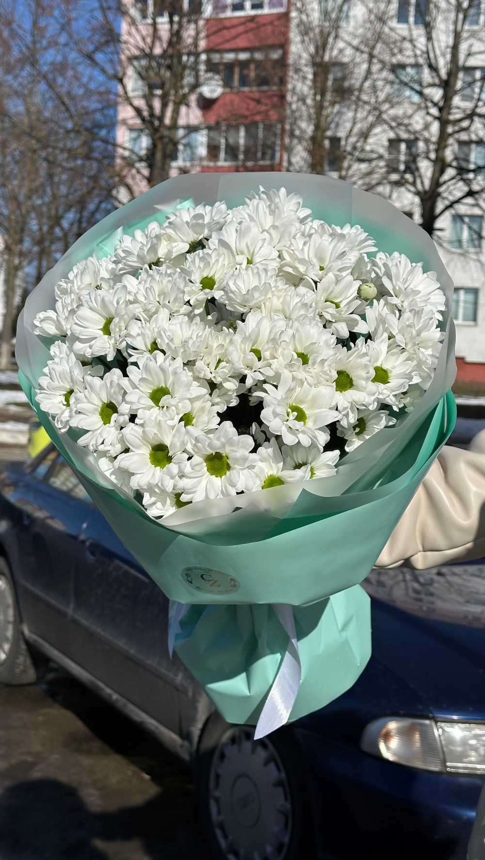 7 веточек хризантем