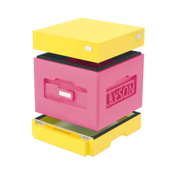 Улей 10 рамочный ППС (Лысонь Вологда) комплект