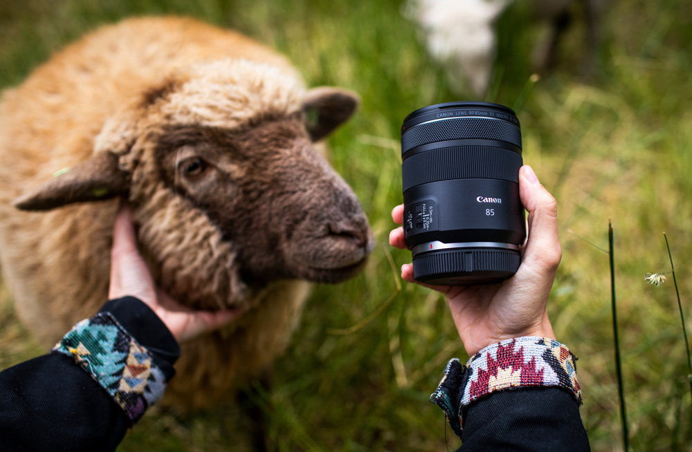 Объектив Canon RF 85mm f/2 Macro IS STM
