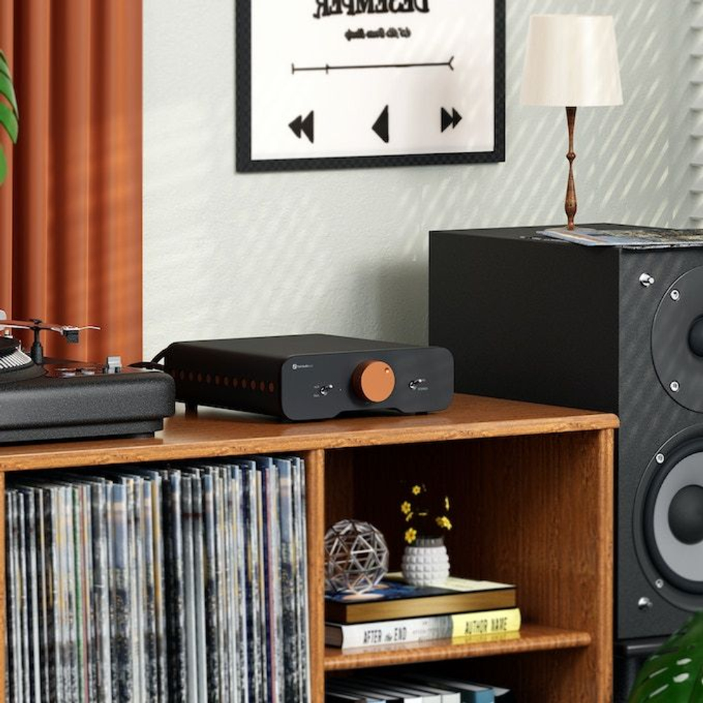 Усилитель Fosi Audio ZA3 48V