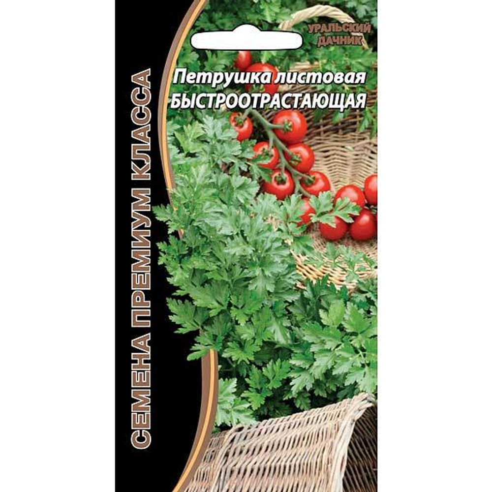 Петрушка листовая Быстроотрастающая