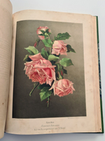 "Nestel`s Rosengarten. [  Сад роз Нестела]". E. Schweizerbartsche Verlagshandlung. 1869г.