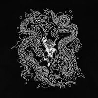  Толстовка мужская Ripndip Ryu Hoodie артикул:RND10204 - купить в магазине Дайс