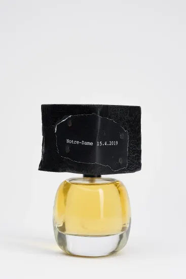 Filippo Sorcinelli Notre-Dame 15.4.2019