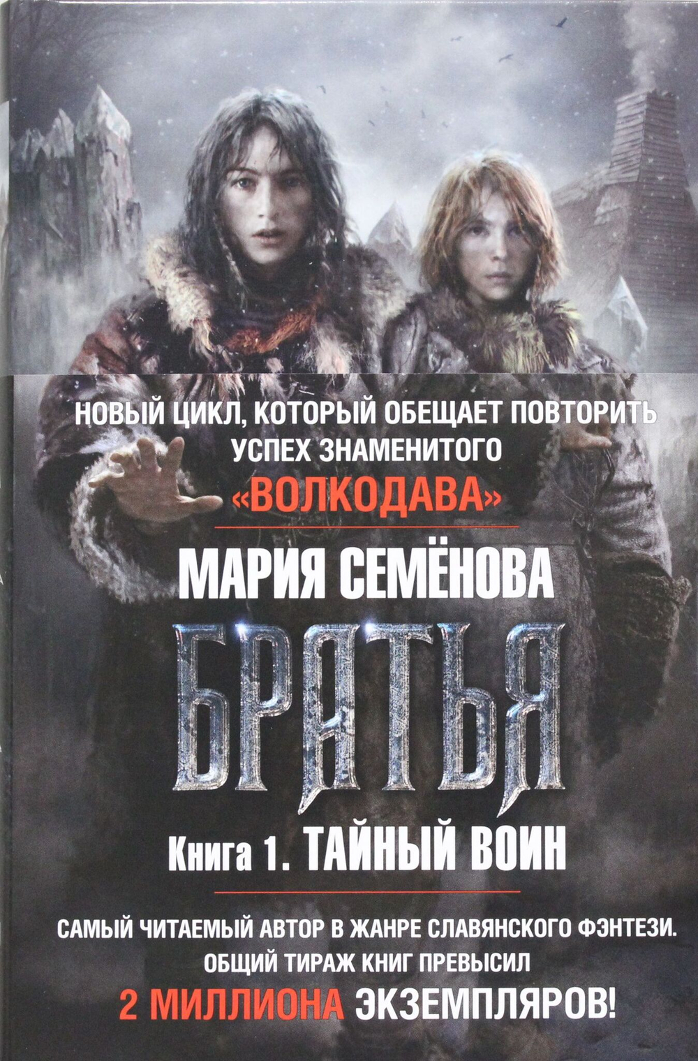Братья. Книга 1. Тайный воин