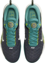 Кроссовки для тенниса Мужские NIKE COURT ZOOM NXT для всех покрытий