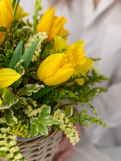 Перед рассветом