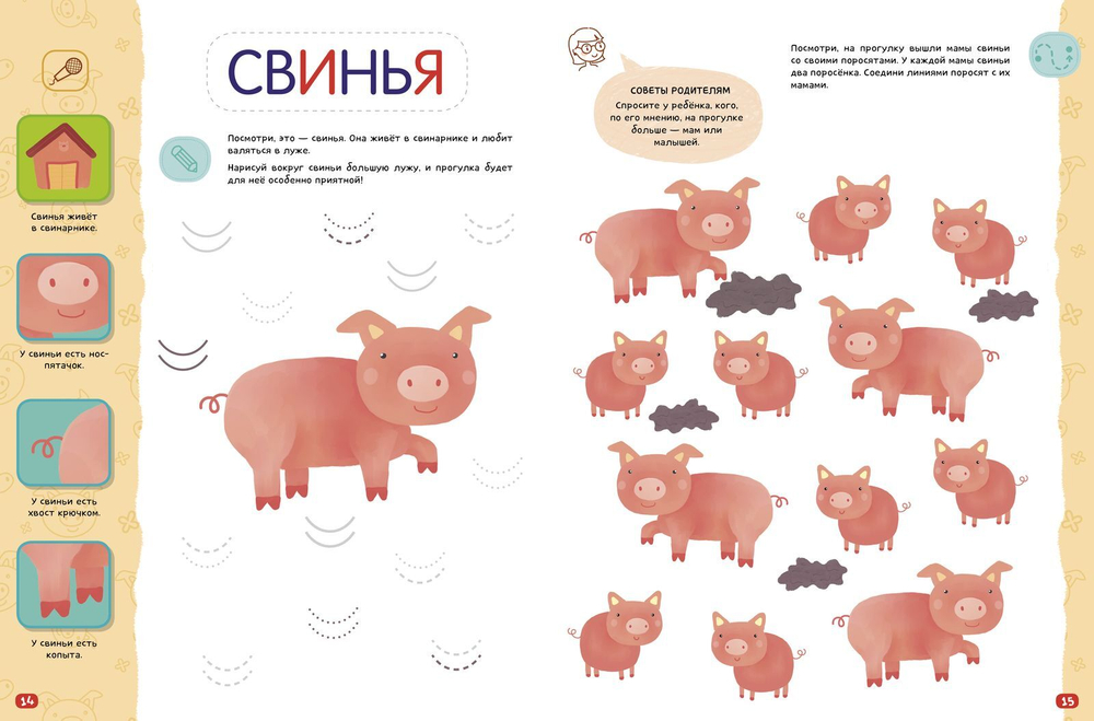 Компакт-технологии для одарённых малышей. Домашние животные