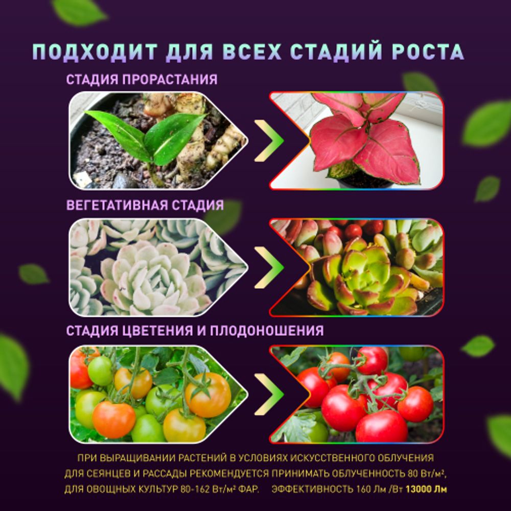 Квантум борд ЭРА FITO-160W-LED-QB Quantum board фитопрожектор полного спектра 160 Вт | Квантум борды (Quantum board)