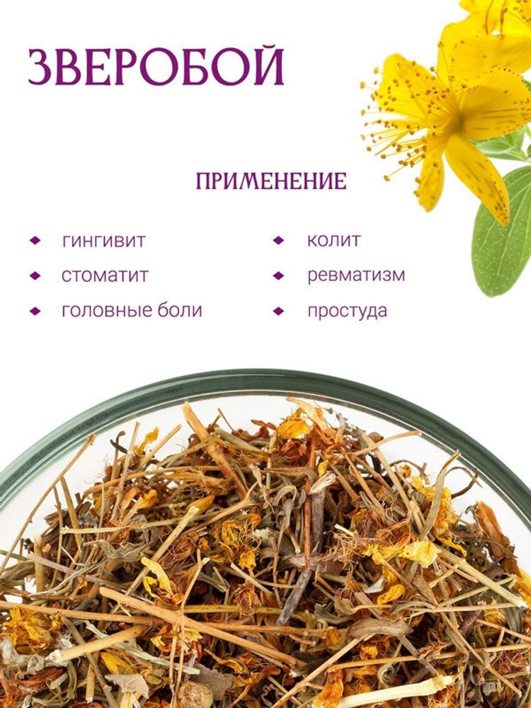 Зверобой трава