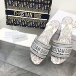 Christian Dior Dway Slide