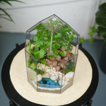 Готовый флорариум бонсай Лигуструм Бонсариум с озером