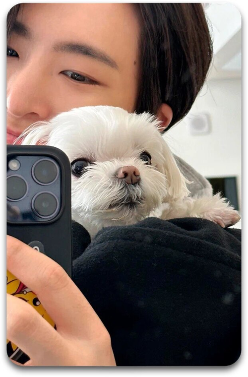 Карта #3021 / Youngjae (GOT7)