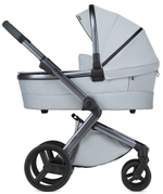 Детская коляска Anex l/type 2 в 1 lt-10t frost