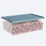 Лоток прозрачный с крышкой, цвет серый 4300 мл