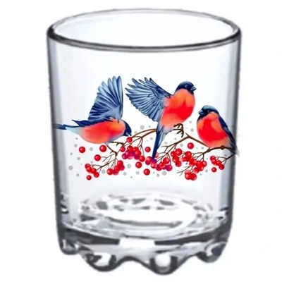 Стакан стеклянный 250мл «Снегири» D849/30