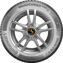 Continental ContiWinterContact TS 870 215/55 R16 97H