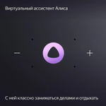 Умная колонка ЯНДЕКС Станция Миди 24Вт, с Алисой, малиновый [yndx-00054pnk]