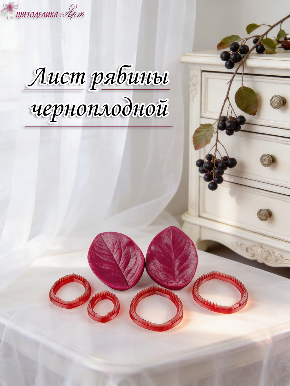 Лист рябины черноплодной