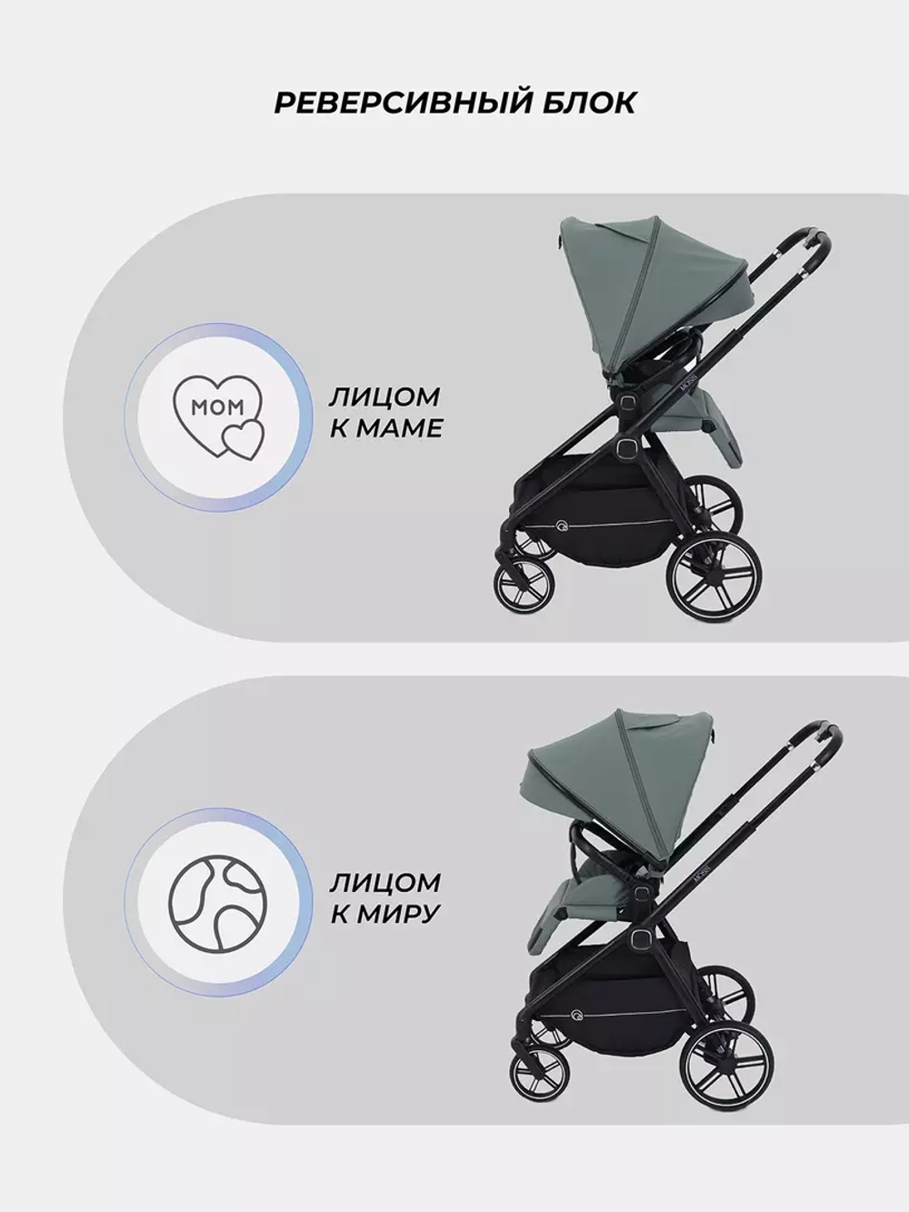Прогулочная коляска Rant Moss 2025