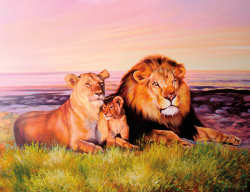 Коллекция Животные