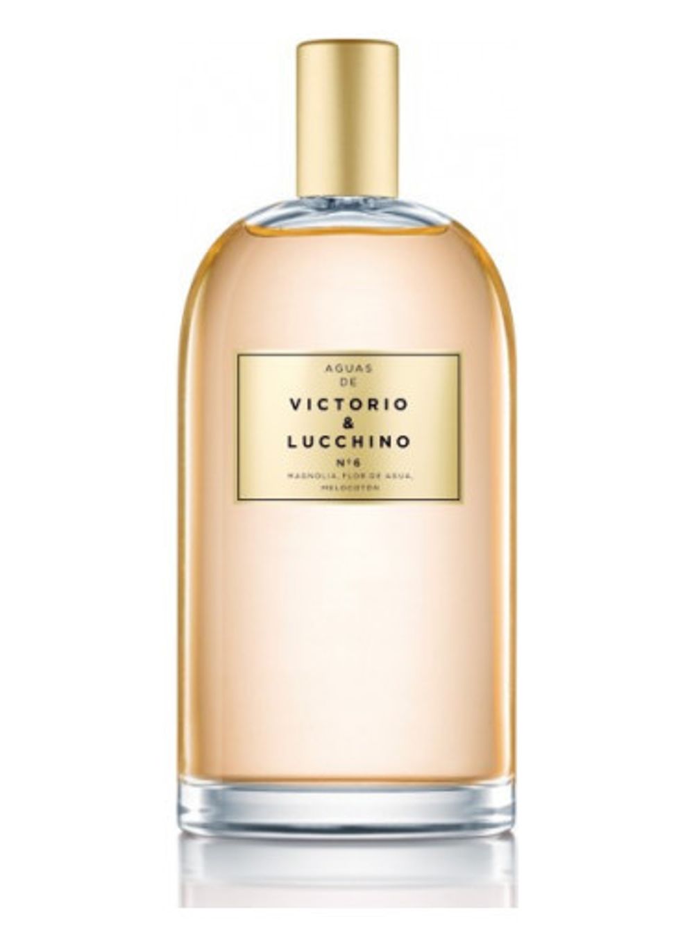 Victorio and Lucchino No 6