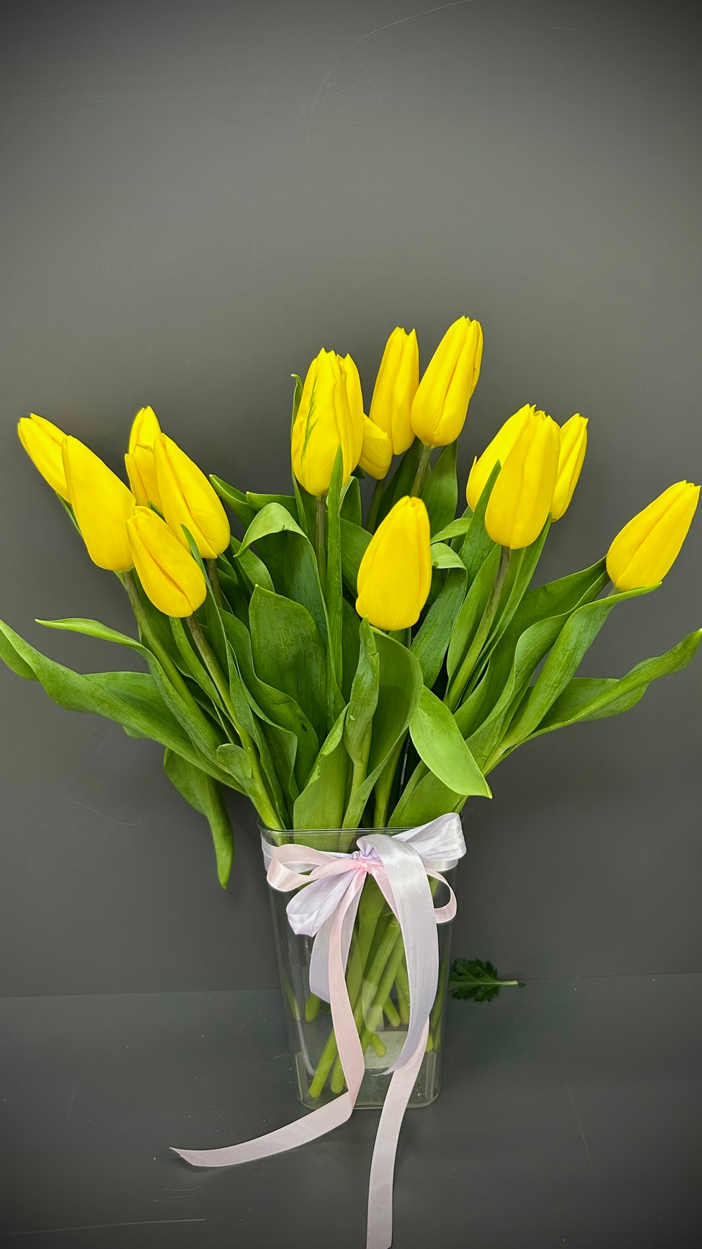 55 тюльпанов