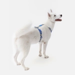 Анатомическая шлейка Midnight Safari