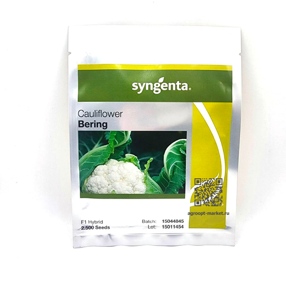 Беринг F1 семена капусты цветной (Syngenta / Сингента) – фото 5