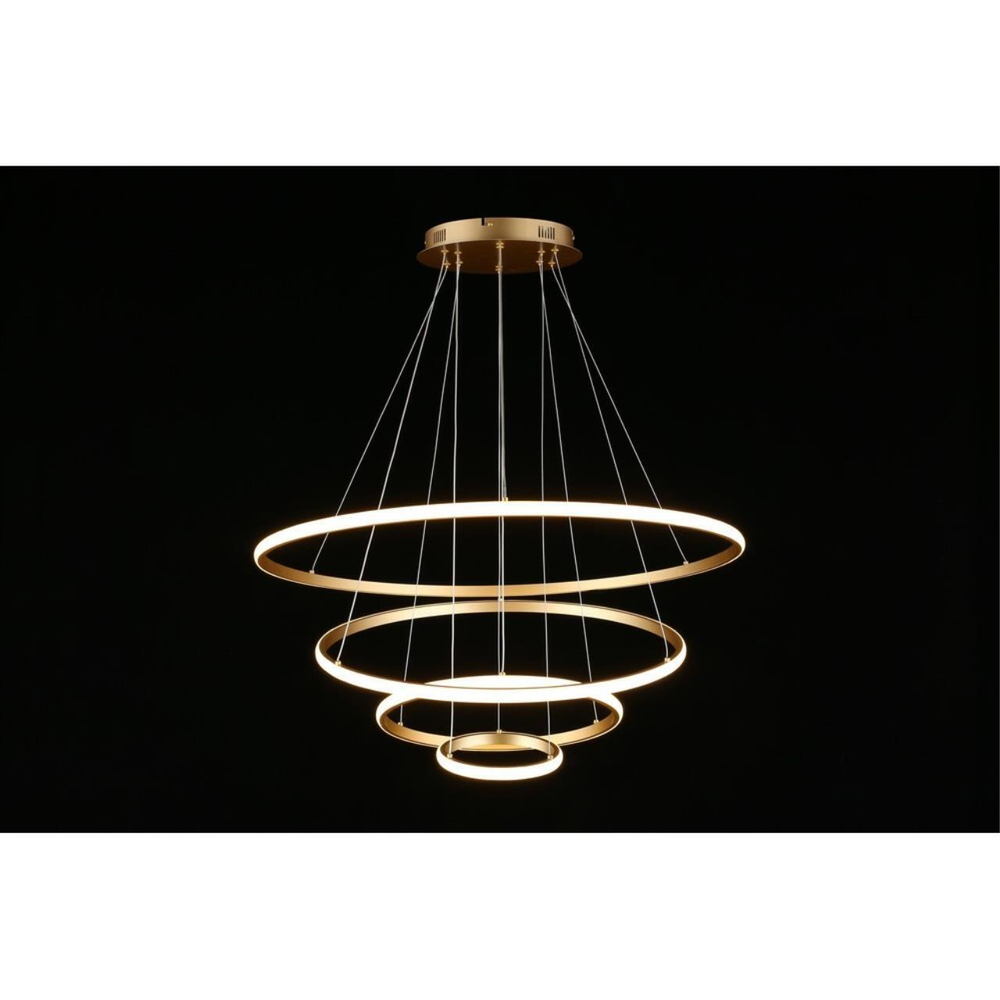 Подвесная светодиодная люстра Aployt Janina APL.018.13.100